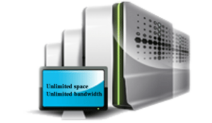Website Hosting