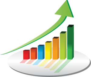 website profit